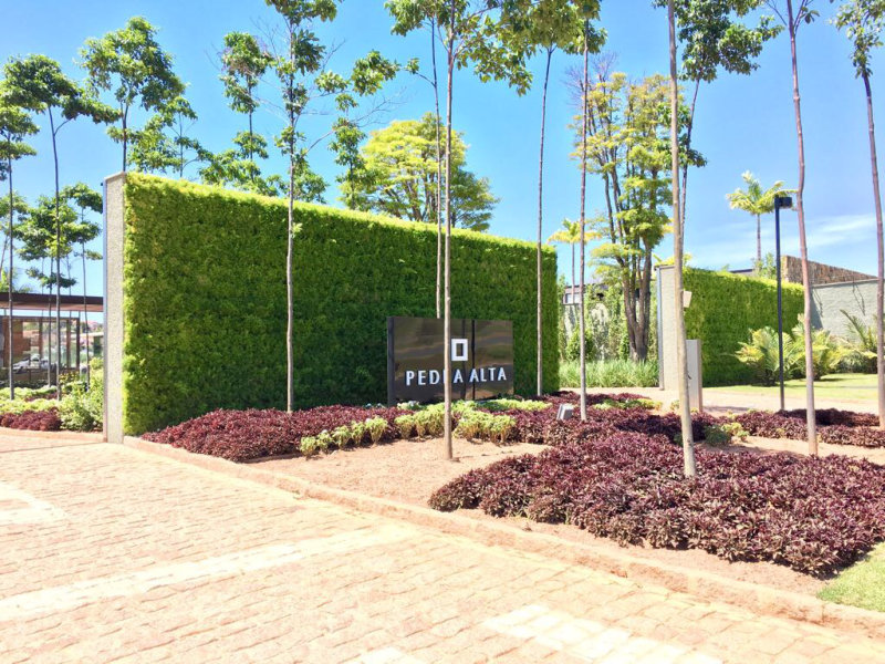 GardenWall tem colocado seus módulos cerâmicos em diversos segmentos paisagísticos
