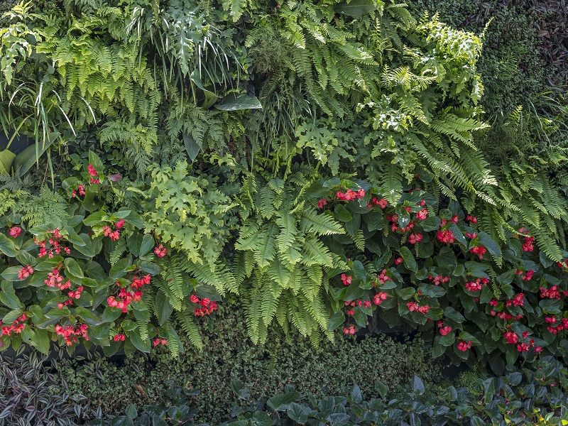 Green Wall Ceramic oferece soluções ambientais e o cultivo de diversas espécies de plantas em ambientes externos e internos