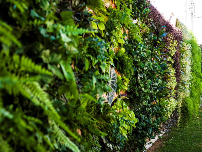 Garden Wall fala sobre irrigação para jardins verticais
