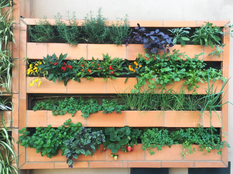 Garden Wall aposta no urbanismo verde e apoia o 4º Congresso Internacional de Arquitetura Paisagística da ABAP