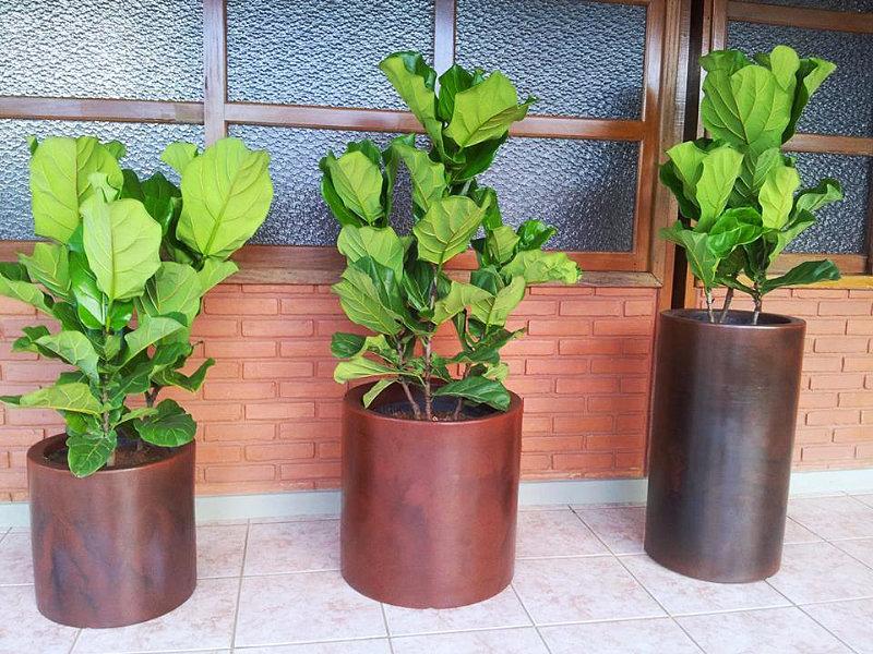 Vasart promove mudanças estratégicas para melhorar o atendimento aos clientes