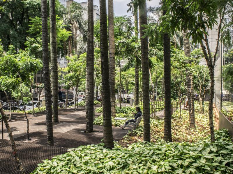 Felipe Abbud - Arquiteto Paisagista