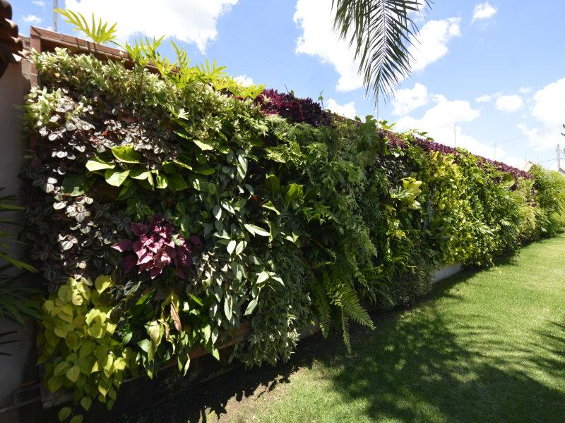 A GardenWall desenvolve módulos cerâmicos para Jardins Verticais com inúmeras vantagens
