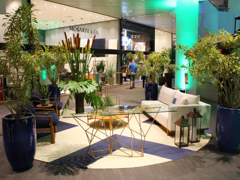 D&D Garden Design reúne ícones do paisagismo nacional