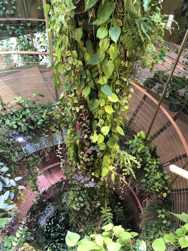 Cidade Matarazzo Foto Aida Lima 2