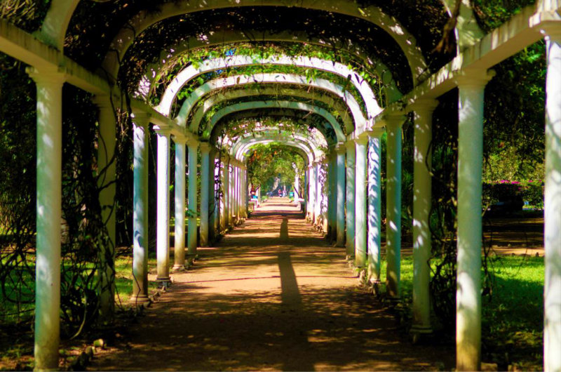 Jardim Botanico 04
