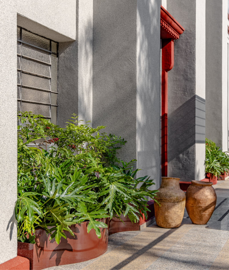 2 Jardim para Receber Fred Fernandes